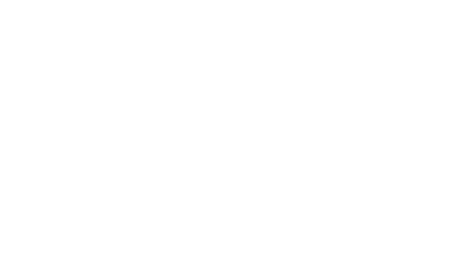 Dawn Treader Capital